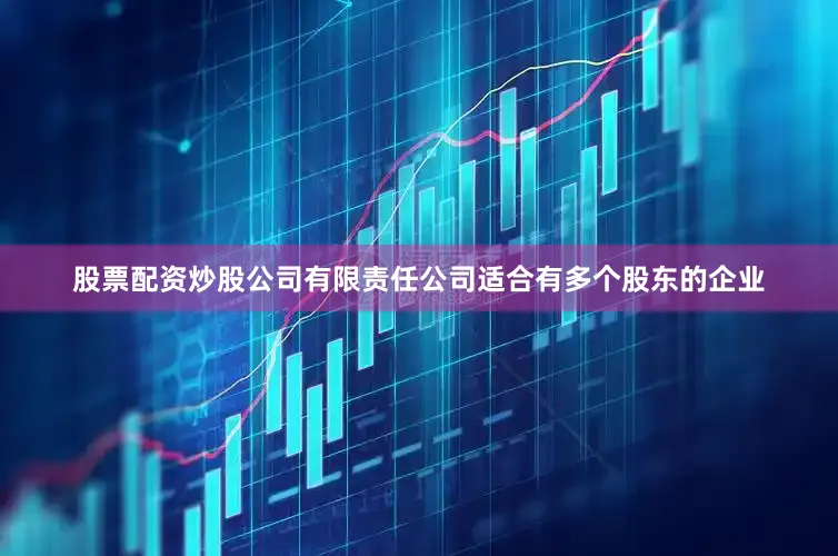 股票配资炒股公司有限责任公司适合有多个股东的企业